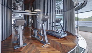 Yacht Savannah gym